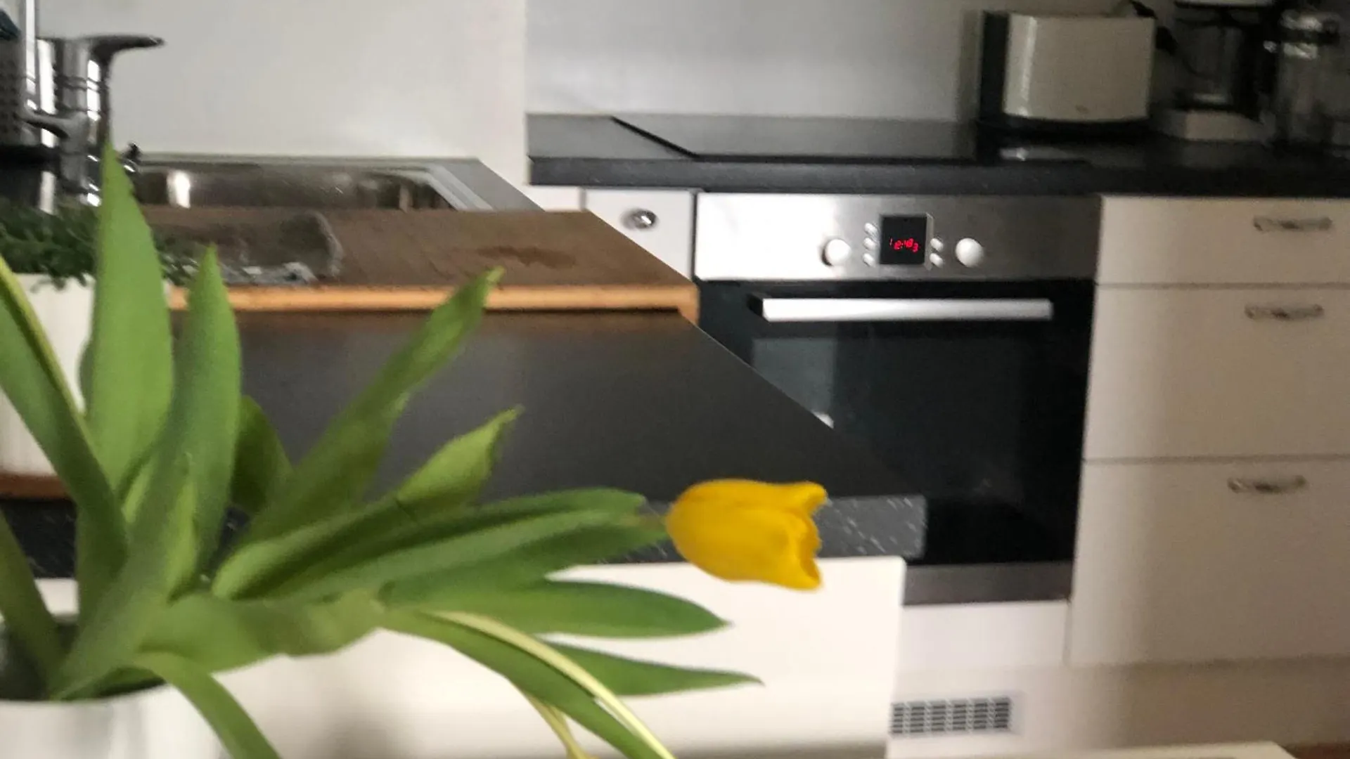 Apartment Scandinavian Design Heart City Center Runeberginkatu Helsinki